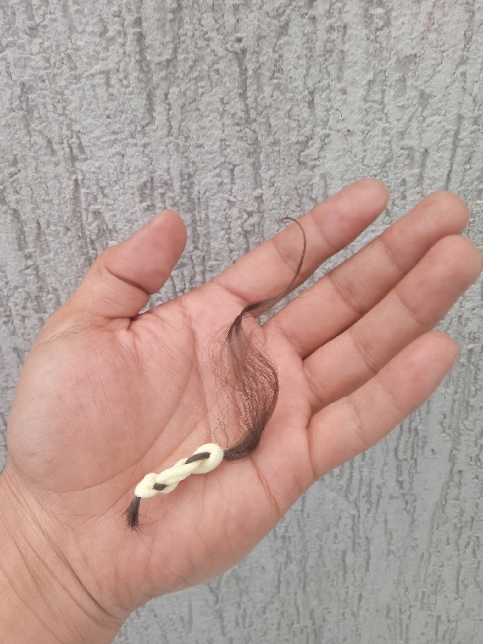 خصرة شعر كرمل